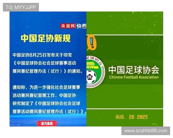 苏超启示:借鉴而非复制,探索本土化足球发展新路径(3) 苏超启示:借鉴而非复制,探索本土化足球发展新路径(3)